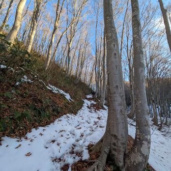 先行者数名が歩いた後で楽ちん🤭