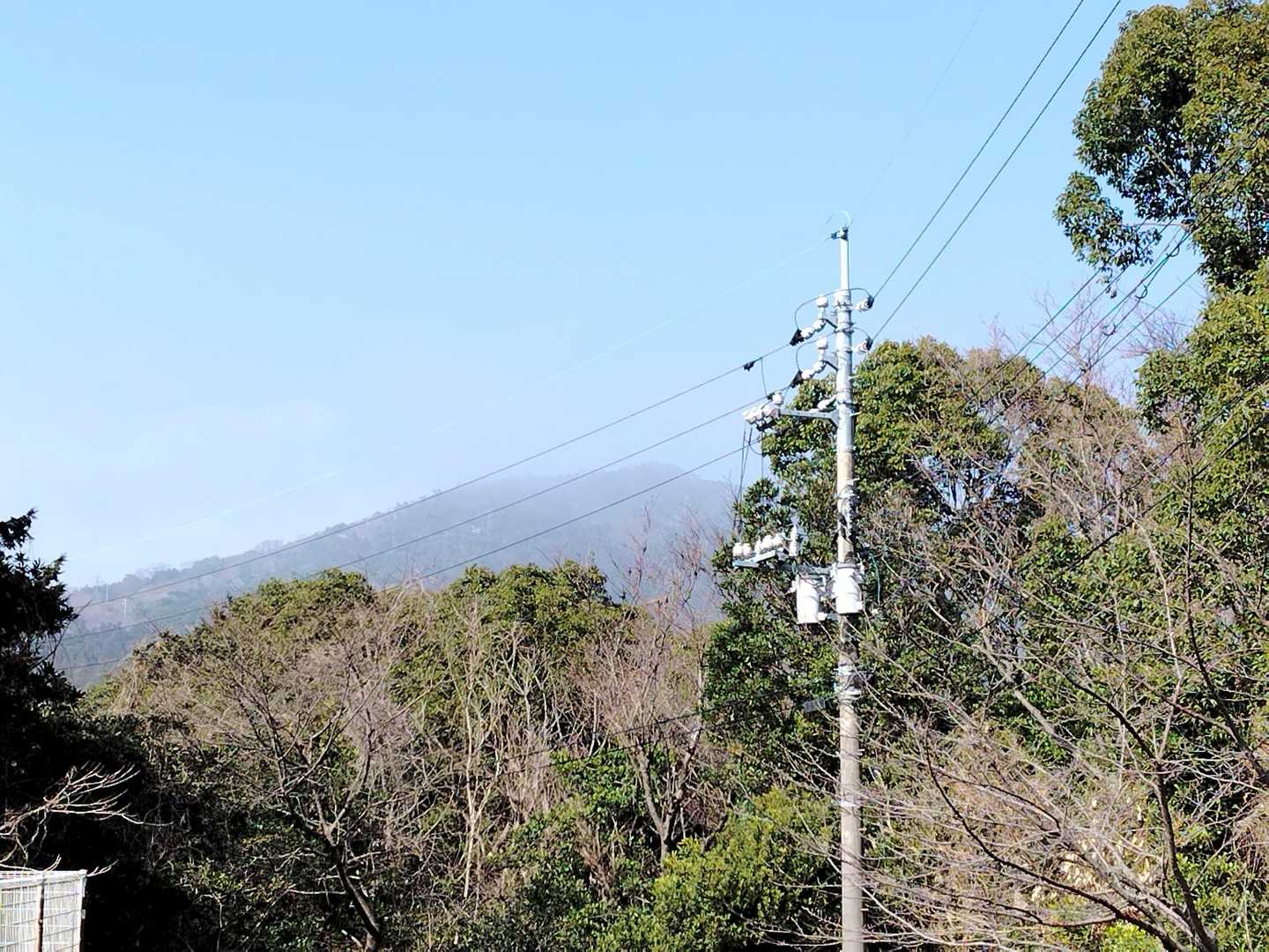 なんか全体的に白い空気😑
何？花粉？🤧？