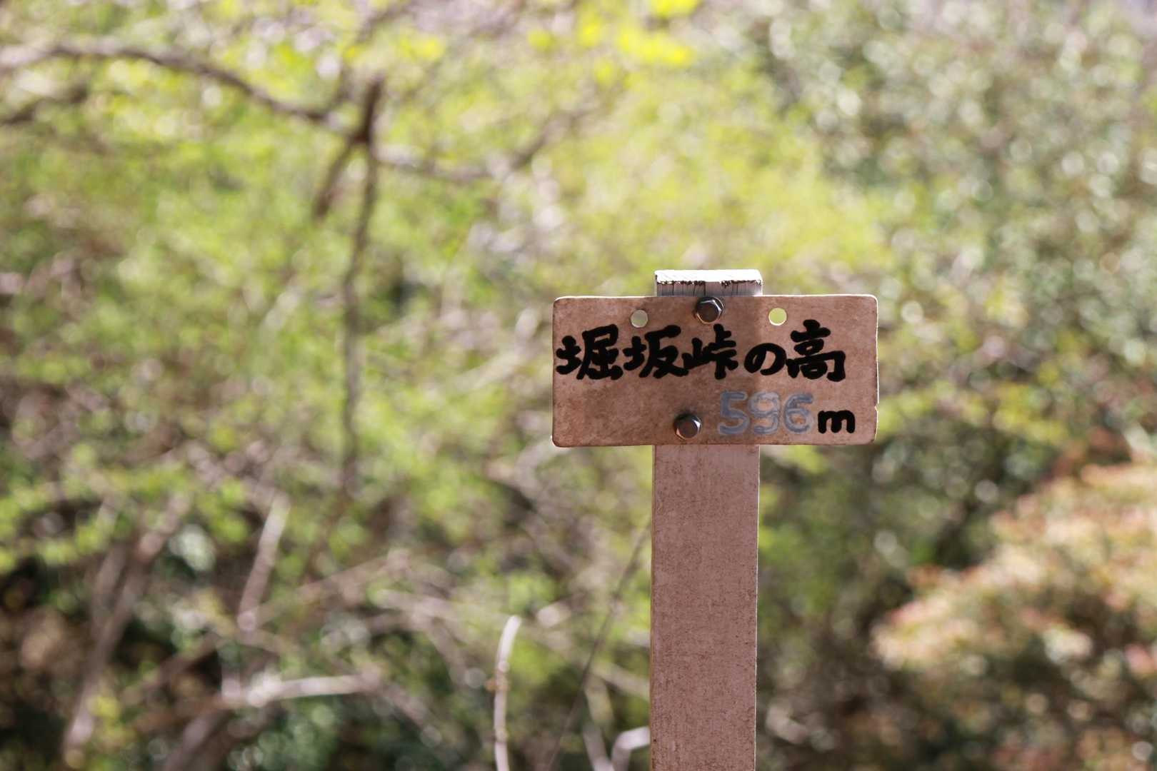 初めて「堀坂峠の高」に来ました