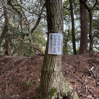 ドキドキしながら下る決意を…