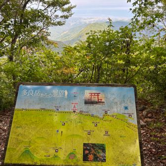 海中鳥居⛩️見えたらすごいなぁ