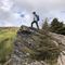 ヨッシー