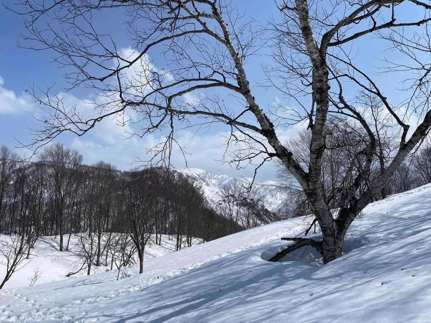 初雪山🏔️
この目で見れるとは👀
精進します🙏