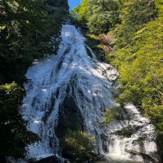 戦場ヶ原と小田代を
歩き抜けて
湯滝まで来ました
