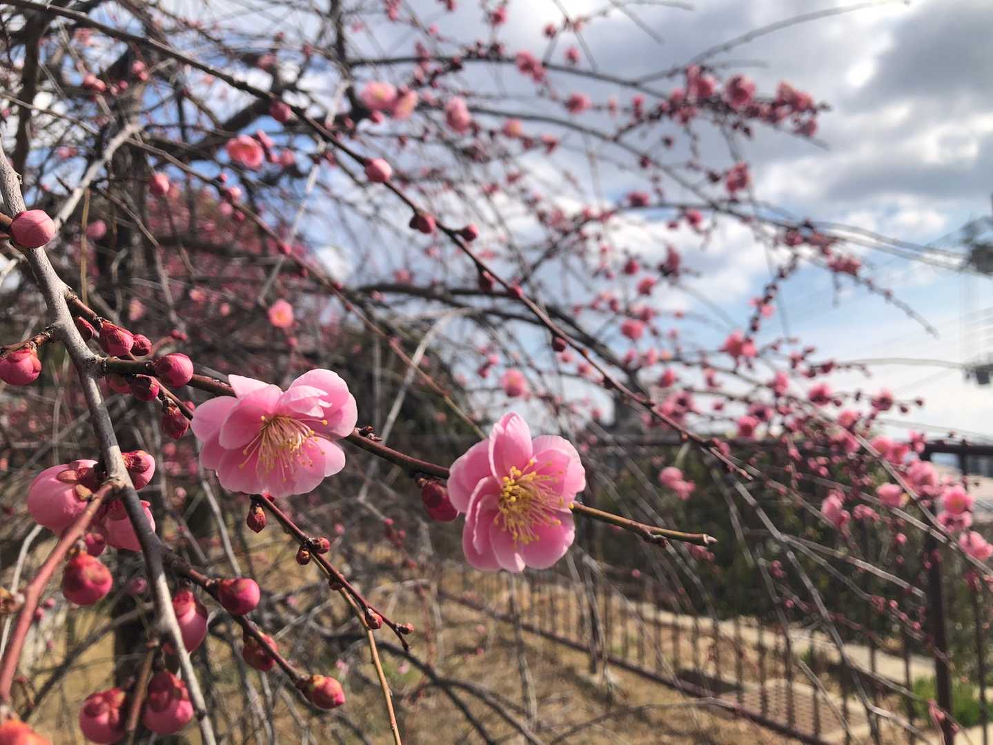 気持ち良さを