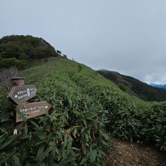 下山