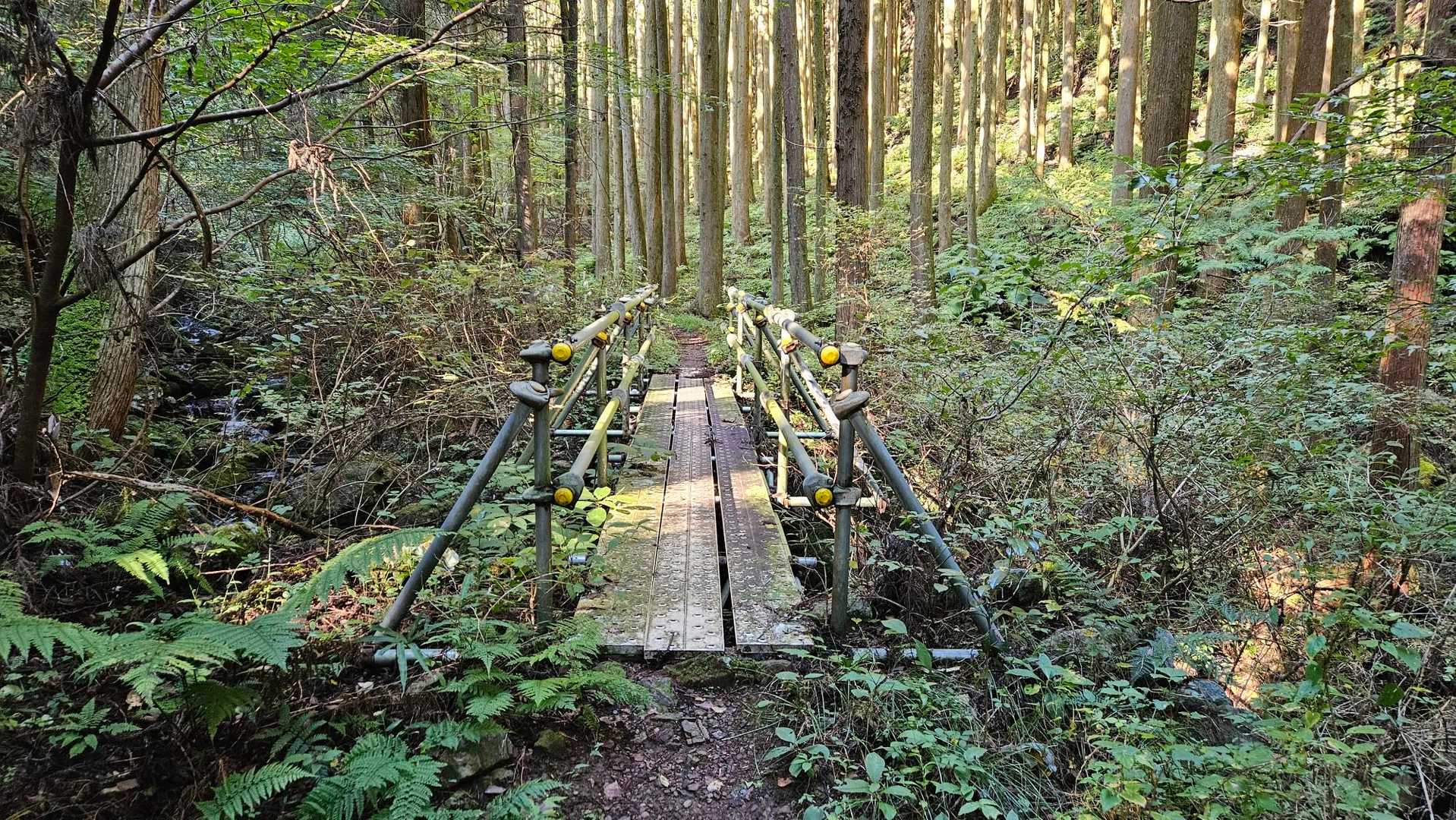 沢沿いの登山道を進みます。