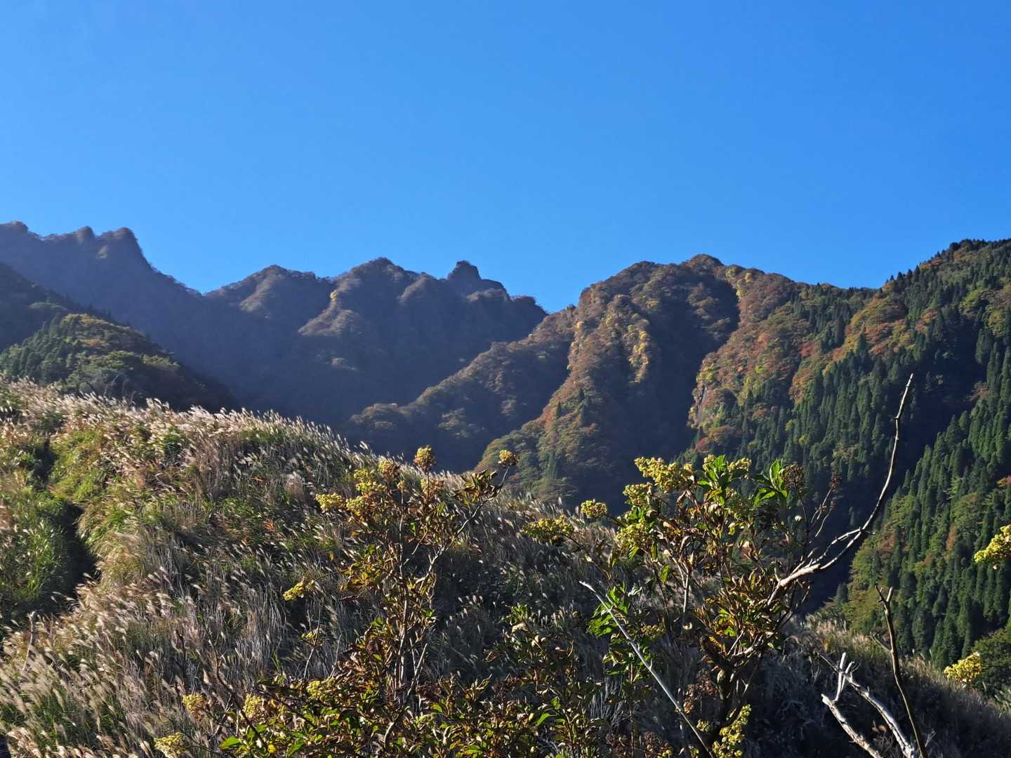 根子岳東峰往復 | ギザギザ形の山を目指して。登り切った先の絶景への写真