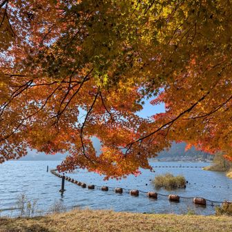 早く下山できたので、おまけ😆