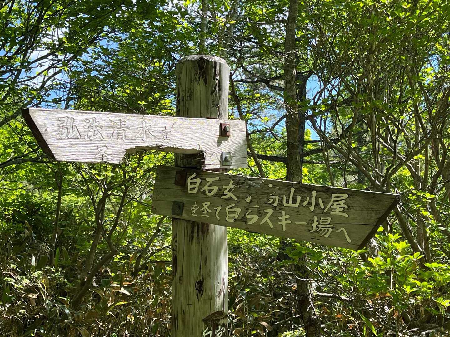 白石女子校小屋跡-不忘山 往復コースの写真