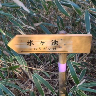 👈️氷ヶ池へ