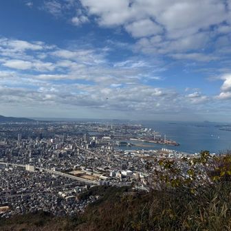 まいけるむーあ