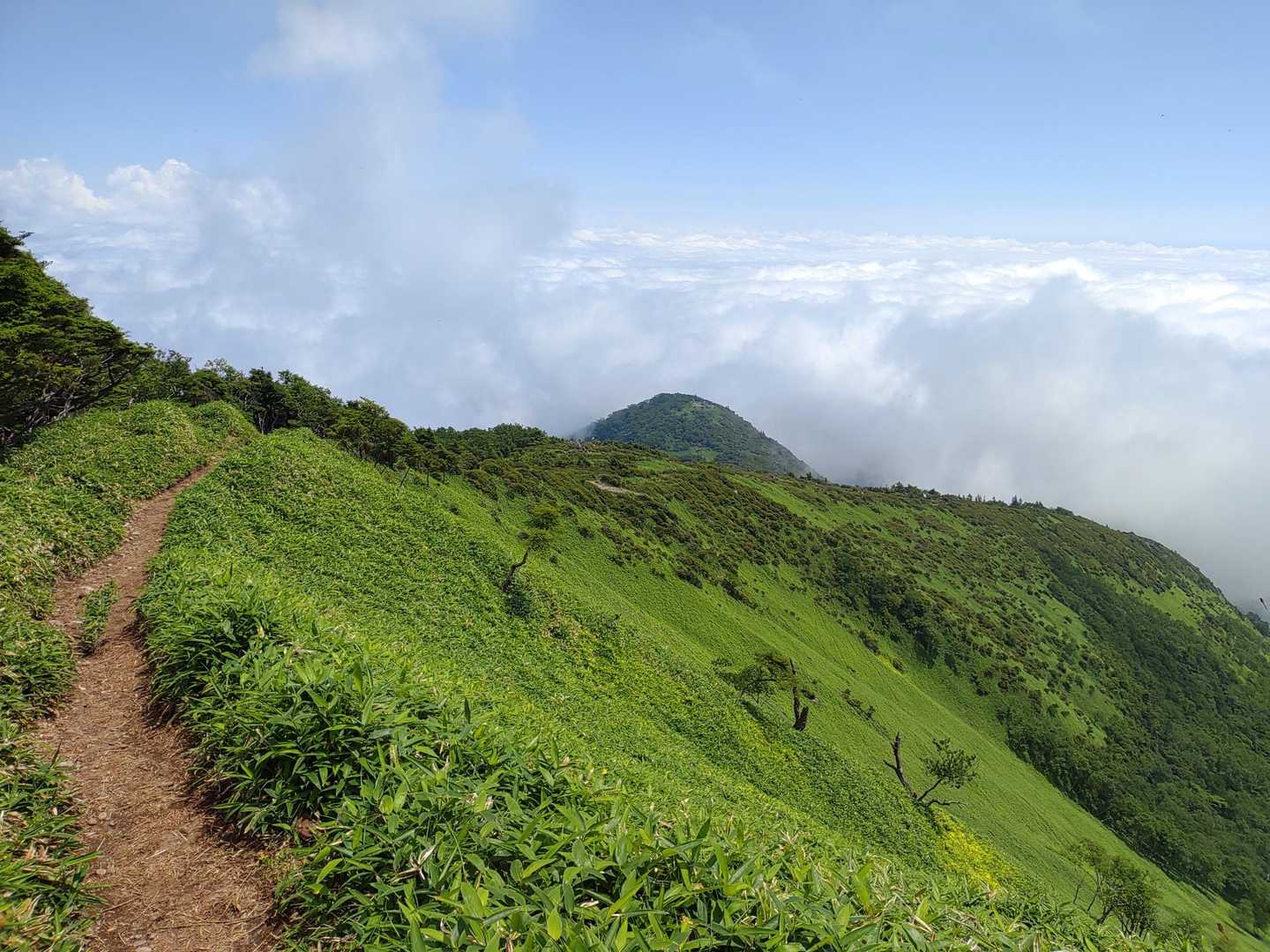 赤薙山往復 | 天空の回廊を越えて、雄大な日光連山を望む絶景稜線ルートの写真