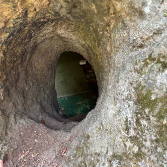 ハシゴの上の場所。ハシゴは登れないので回って行きました。