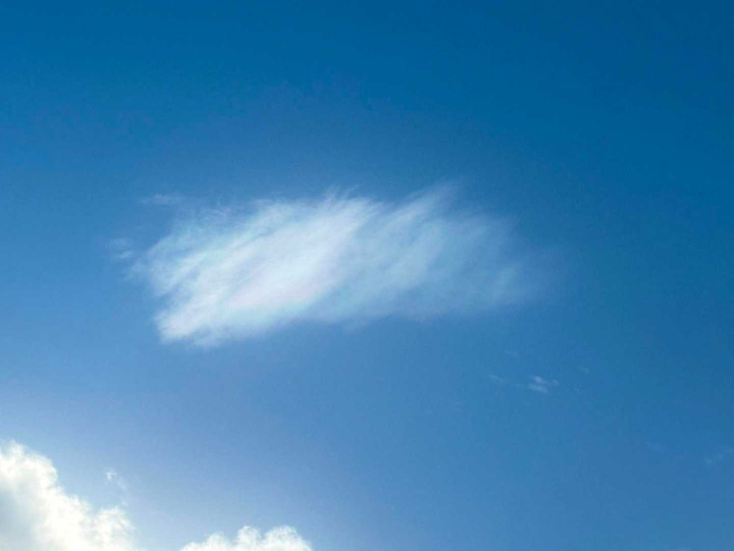 彩雲
初めて見ました