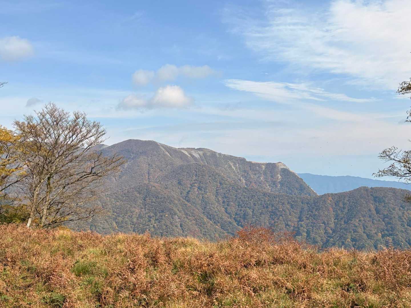 藤原岳、迫力あるなー