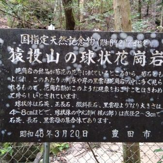 フムフム！
