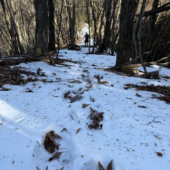 こんなに雪が残っているのか⁉️