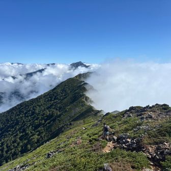 向こう側に爺ヶ岳や鹿島槍ヶ岳が
ガスに飲み込まれていく...