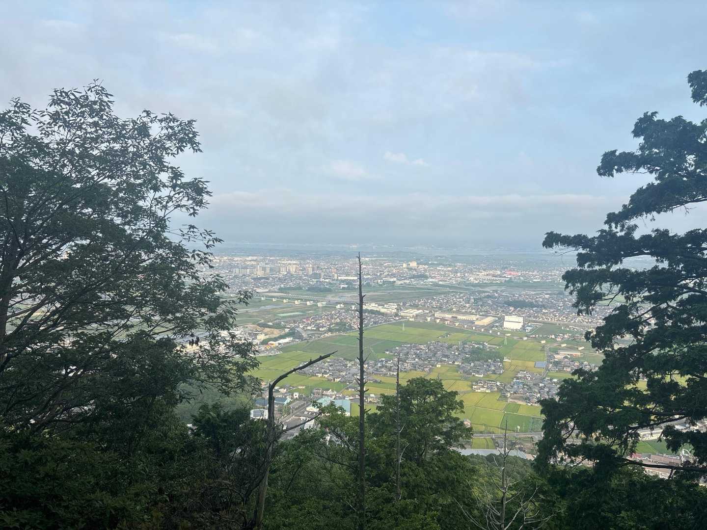 なんか鈴鹿の杉峠を思い出す枯木🪾
イブネとか行きたい🐾