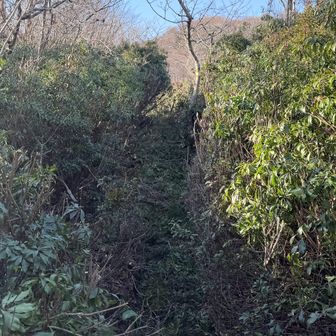 ちっとは通りやすくなったか