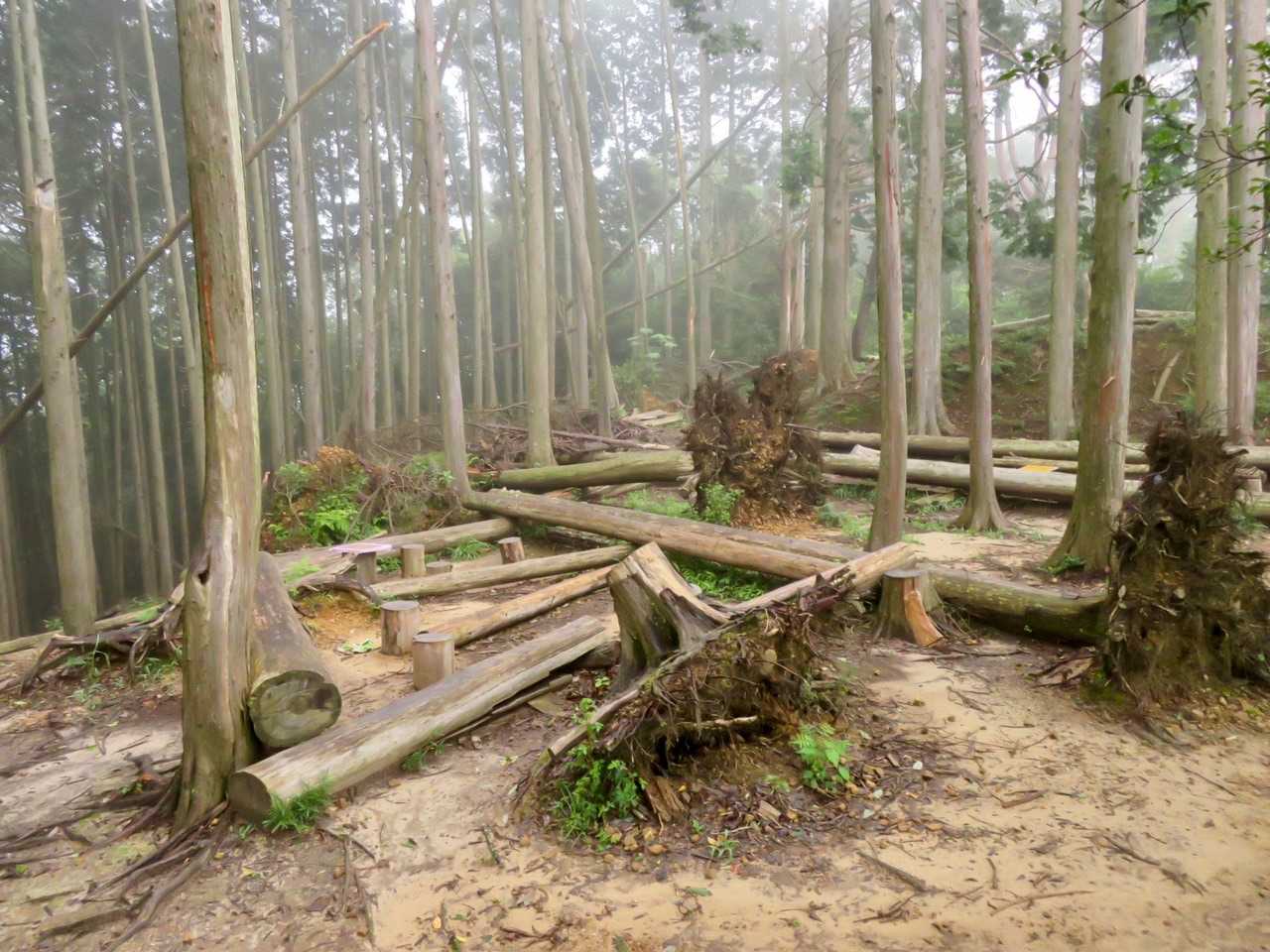 山頂広場は霧の中