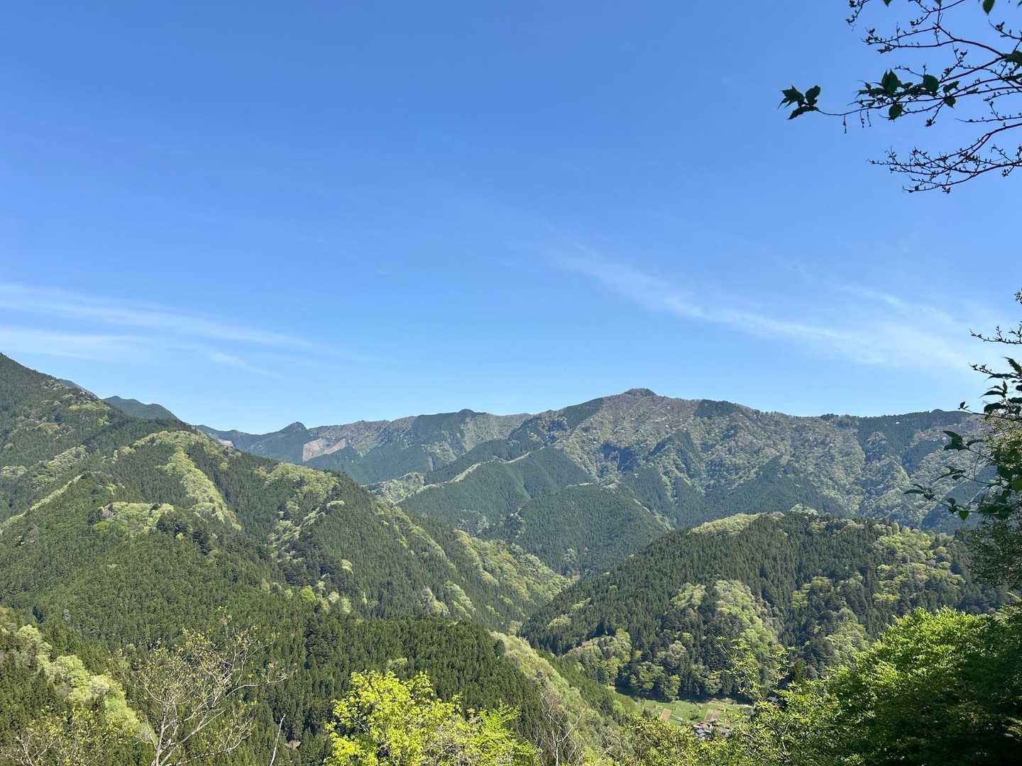 遠くに奥多摩の山々。