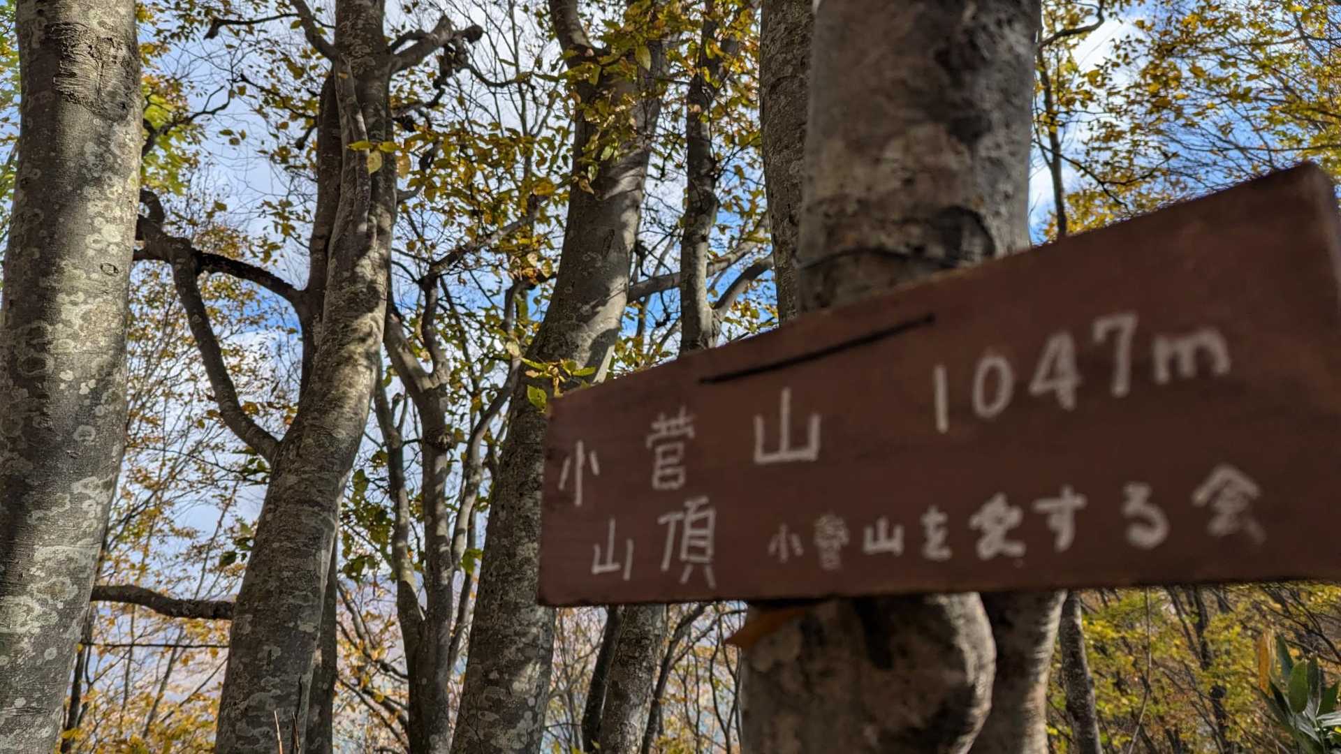 山頂✨