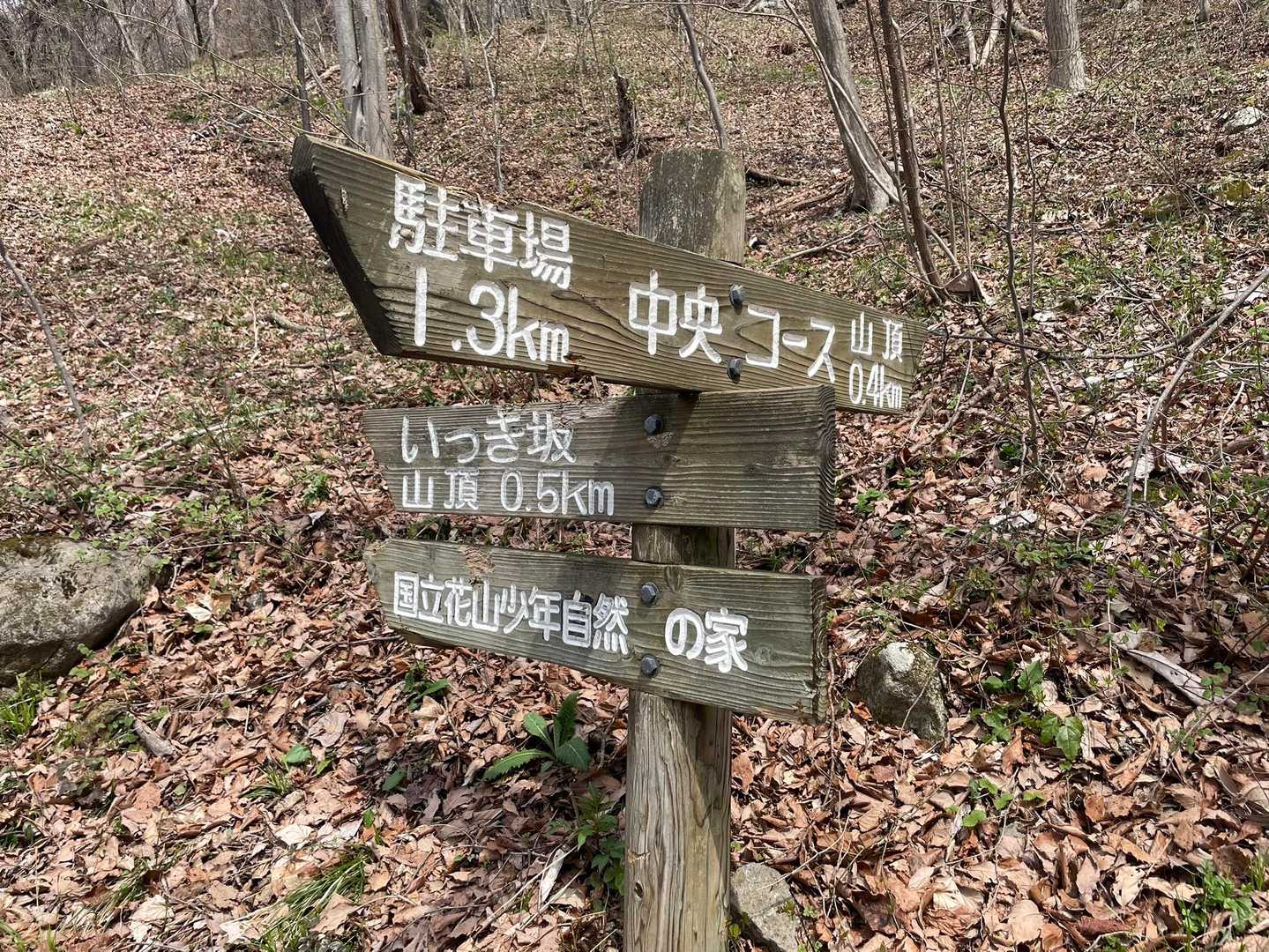 中央コース・いっき坂分岐
中央コースで花こすりから登るか、いっき坂から登るか迷い、いっき坂から登ります
後で分かったが、中央コースで登り、いっき坂を下るのが本来の順路らしいです