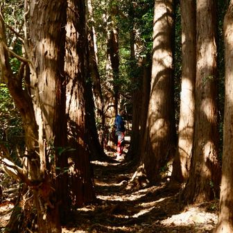 舗装路が長かった、やっと登山道