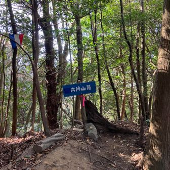 六所山に到着
なぜかフランスの国旗