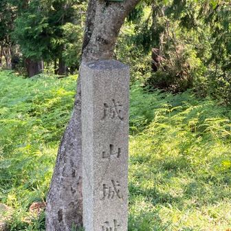 無事カエル君がほぼ同化していますが、みえますでしょうか？