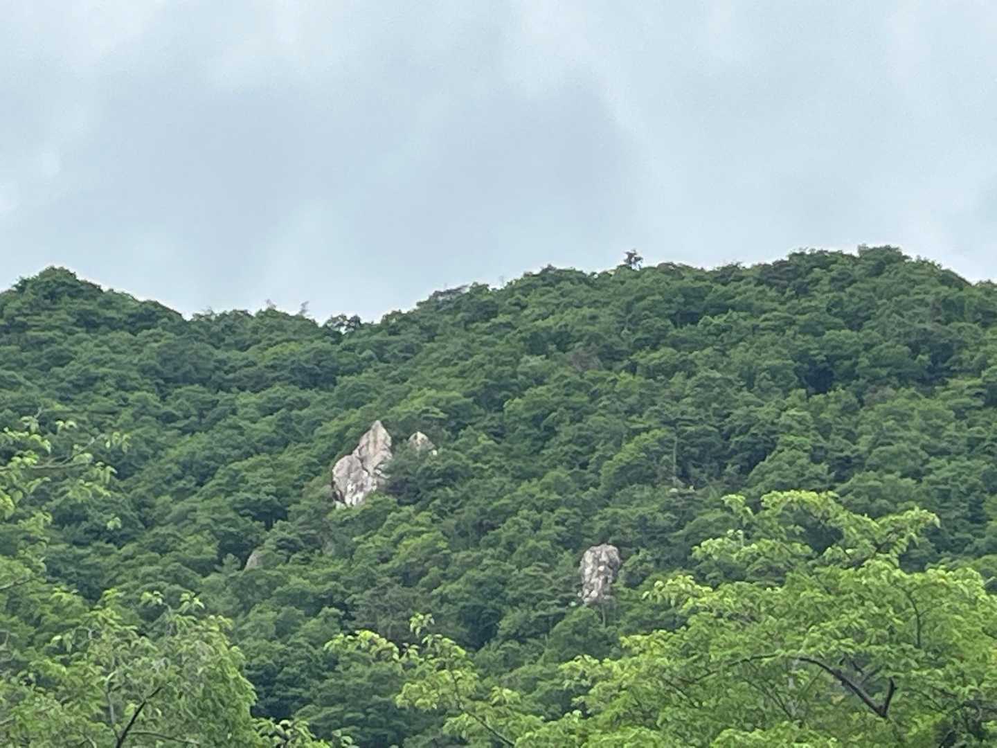 コケることなく無事下山〜🙌
鳶岩、あそこかなぁ❓