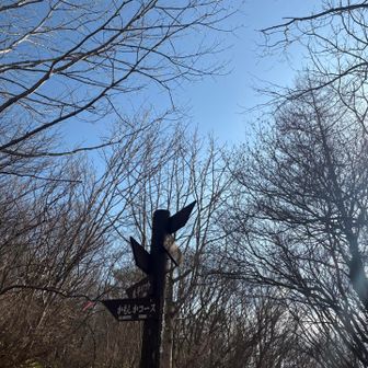 お別れ峠
私、なぜかちょっと行く方向を迷ってしまうんだよね