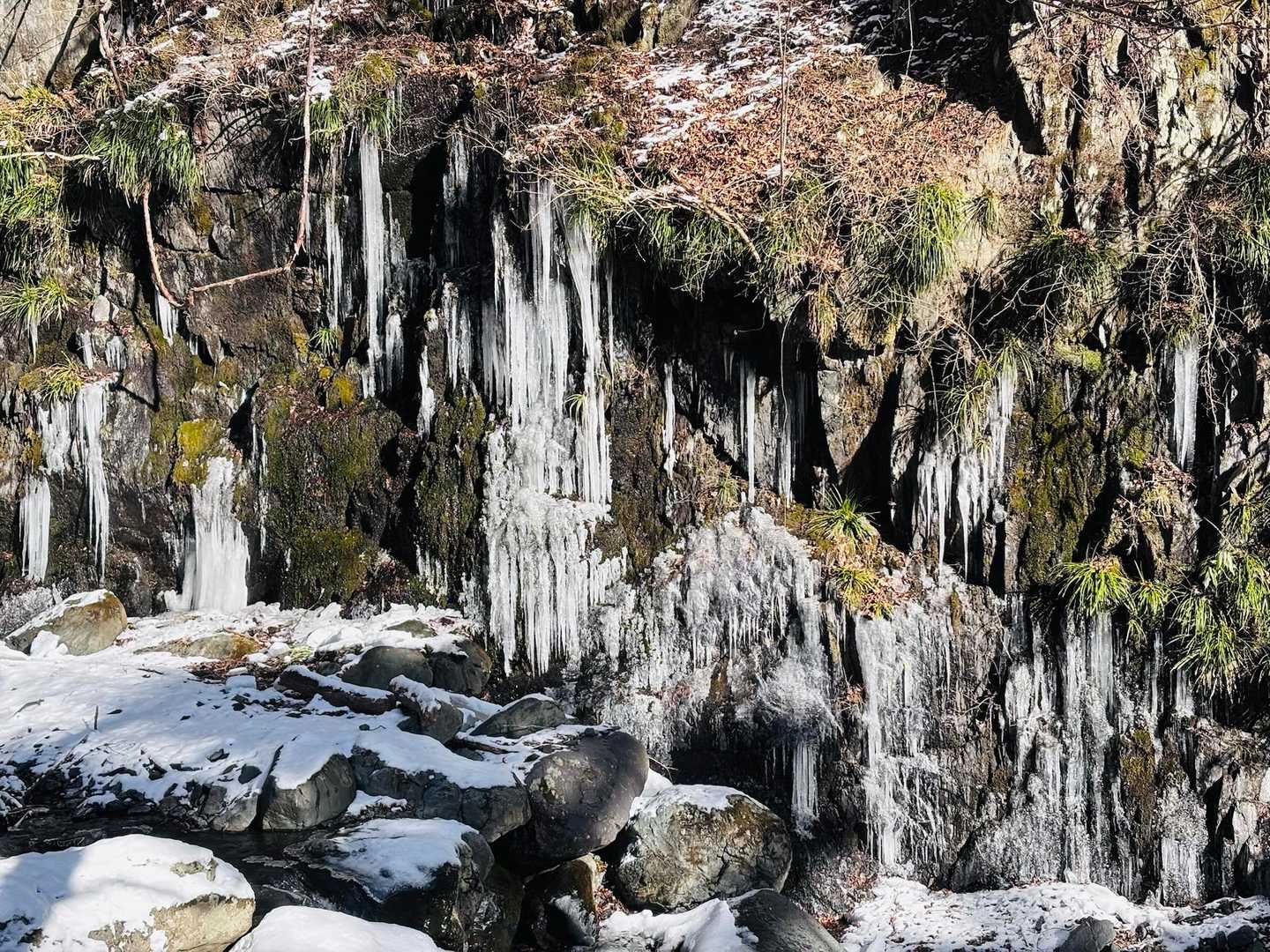 登山口からすぐの滝は凍りついています🥶