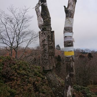 ㊗️近江百山♪銚子ヶ口＆カクレグラ101・100/101 / 綿はるの登山