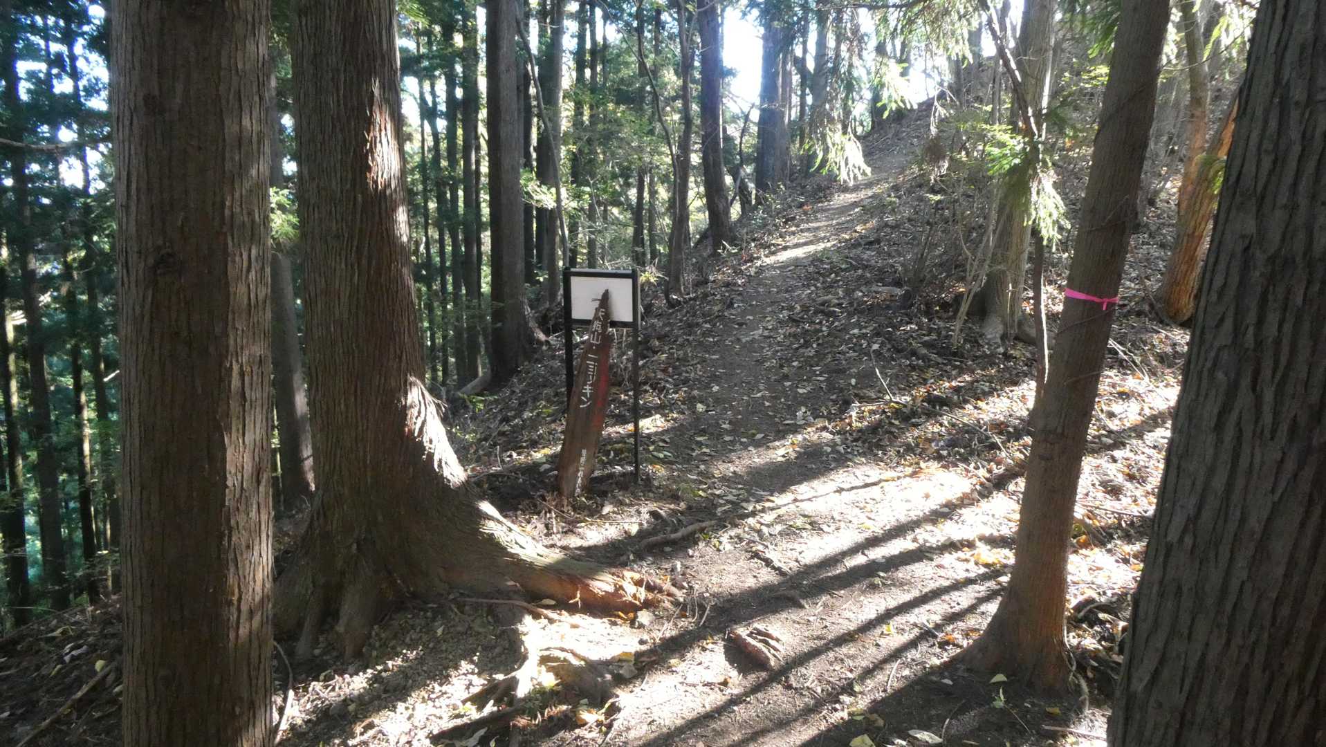 尾根にたどり着きました
ニョッキンとは如金峰のことです