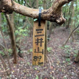 三井山📍89m 
（🙄海抜8mから登山だったんだ。）