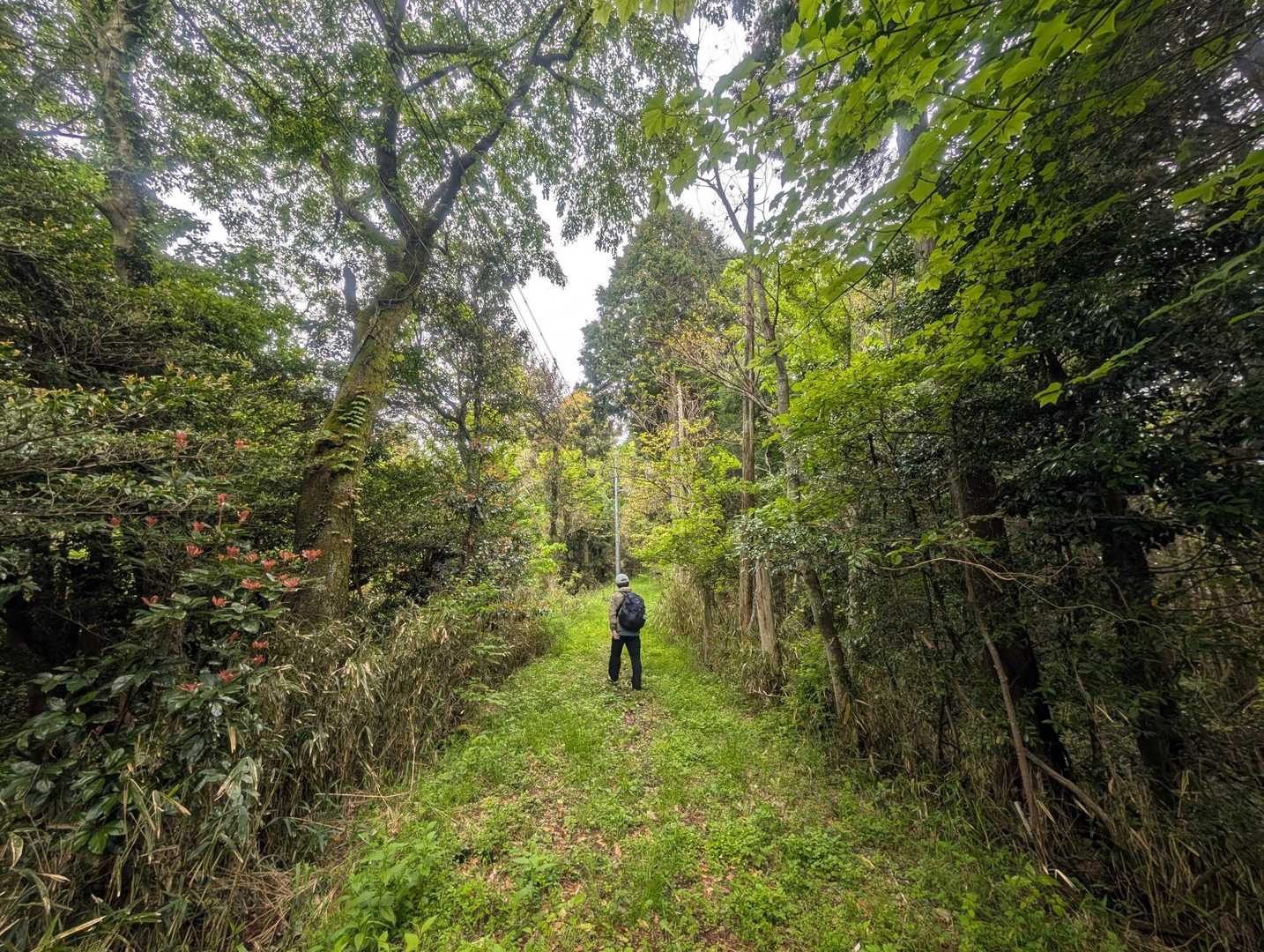 千石岳登山口-千石岳 周回コースの写真