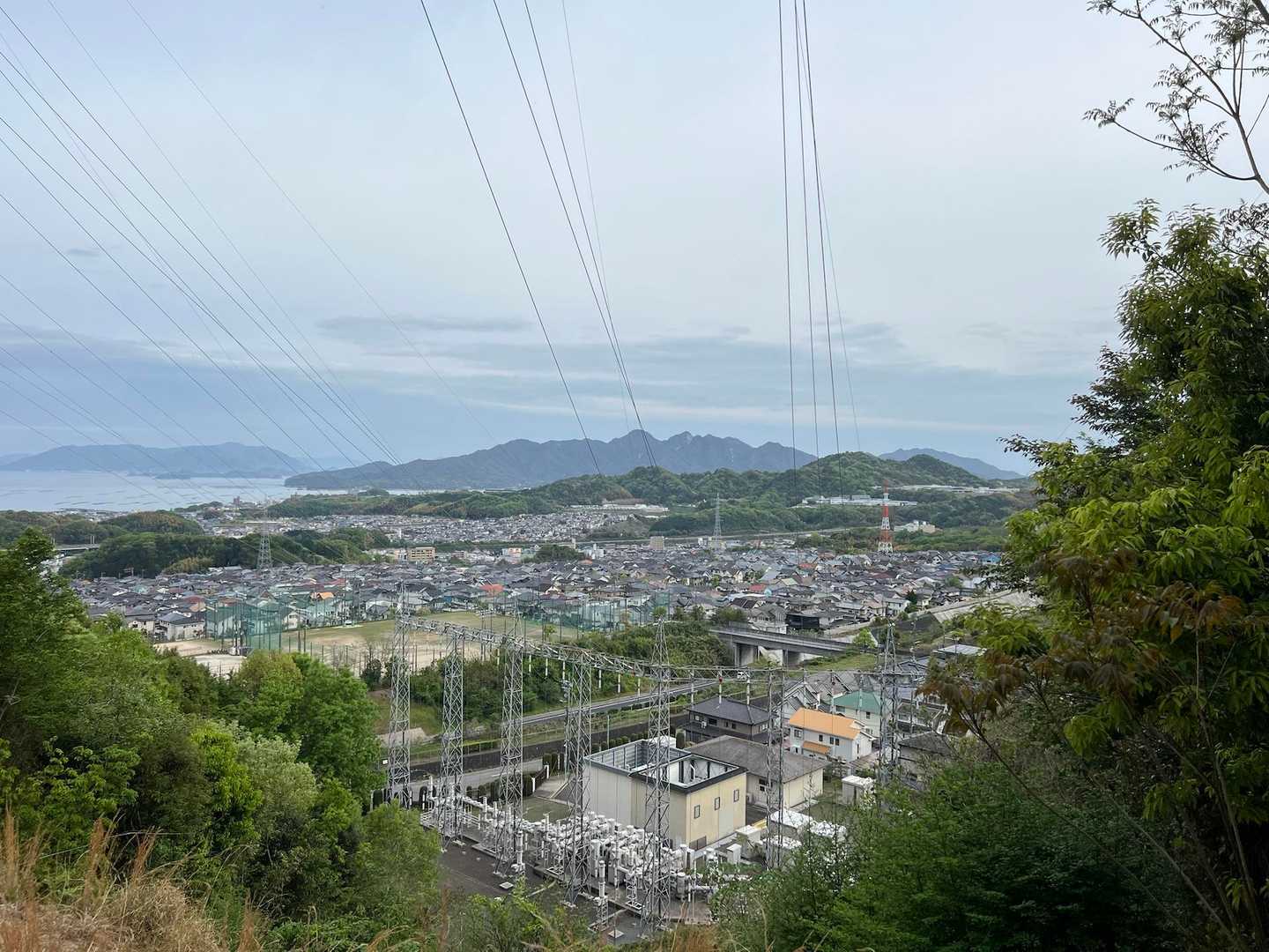 唯一の眺望❣️