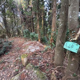 大峠とおちゃこ