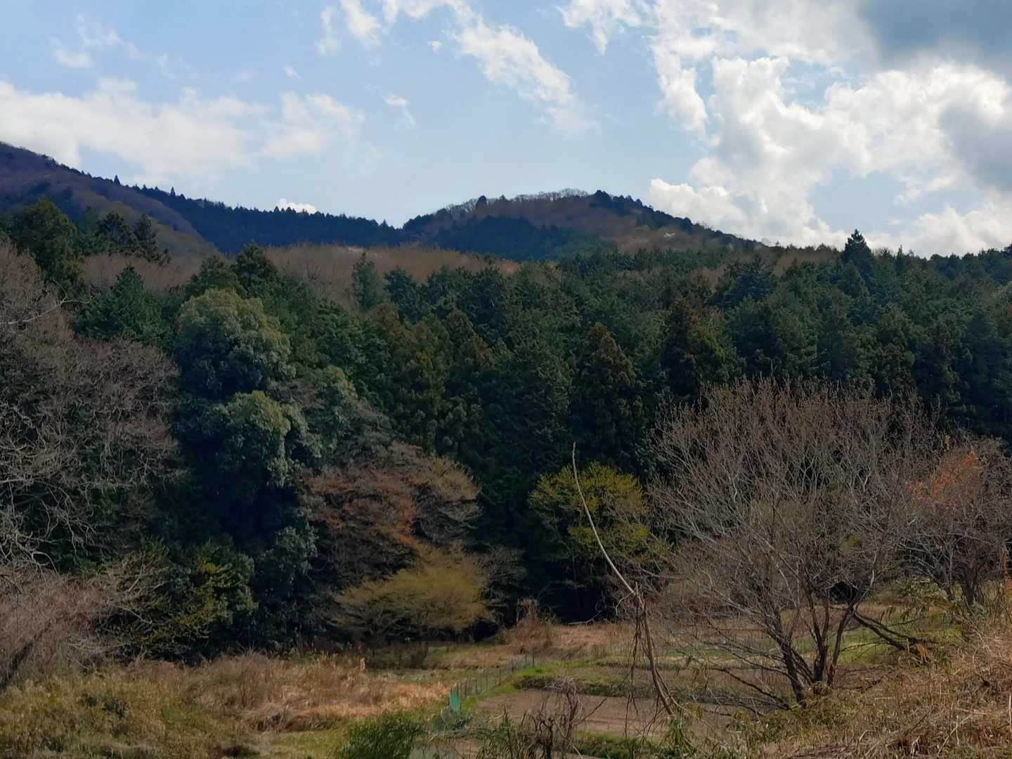福原駅-吾国山 往復コースの写真