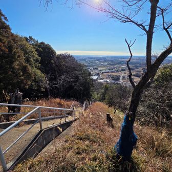 良く整備されているお山でした⛰️