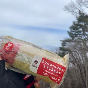 どうしよう、出発してからまだ1時間ちょい。
お腹空いてないけど、持ってきたから食べよう。
このシリーズ美味しいけど、やっぱりチョコが好き。