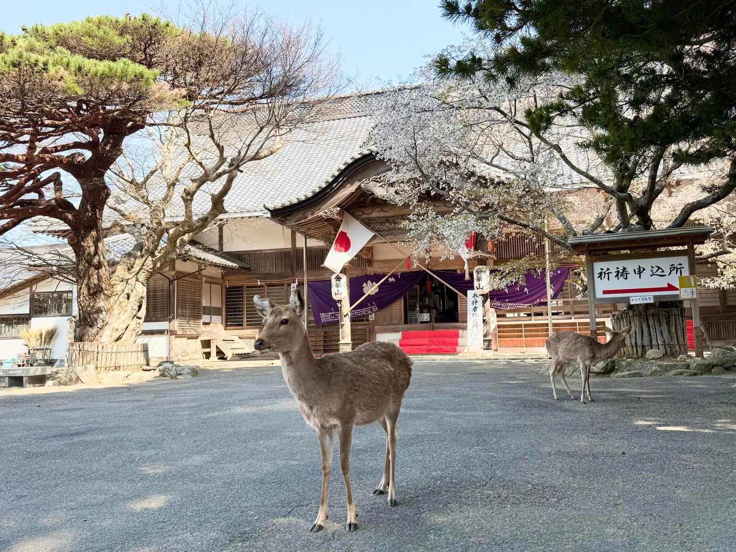 金華山 / shinpe-の登山データ | YAMAP / ヤマップ