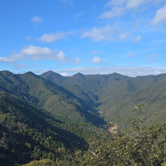はしごを登って見渡す