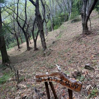 水仙郷
ボランティアの方が草刈りされています。
有難う御座います🙇