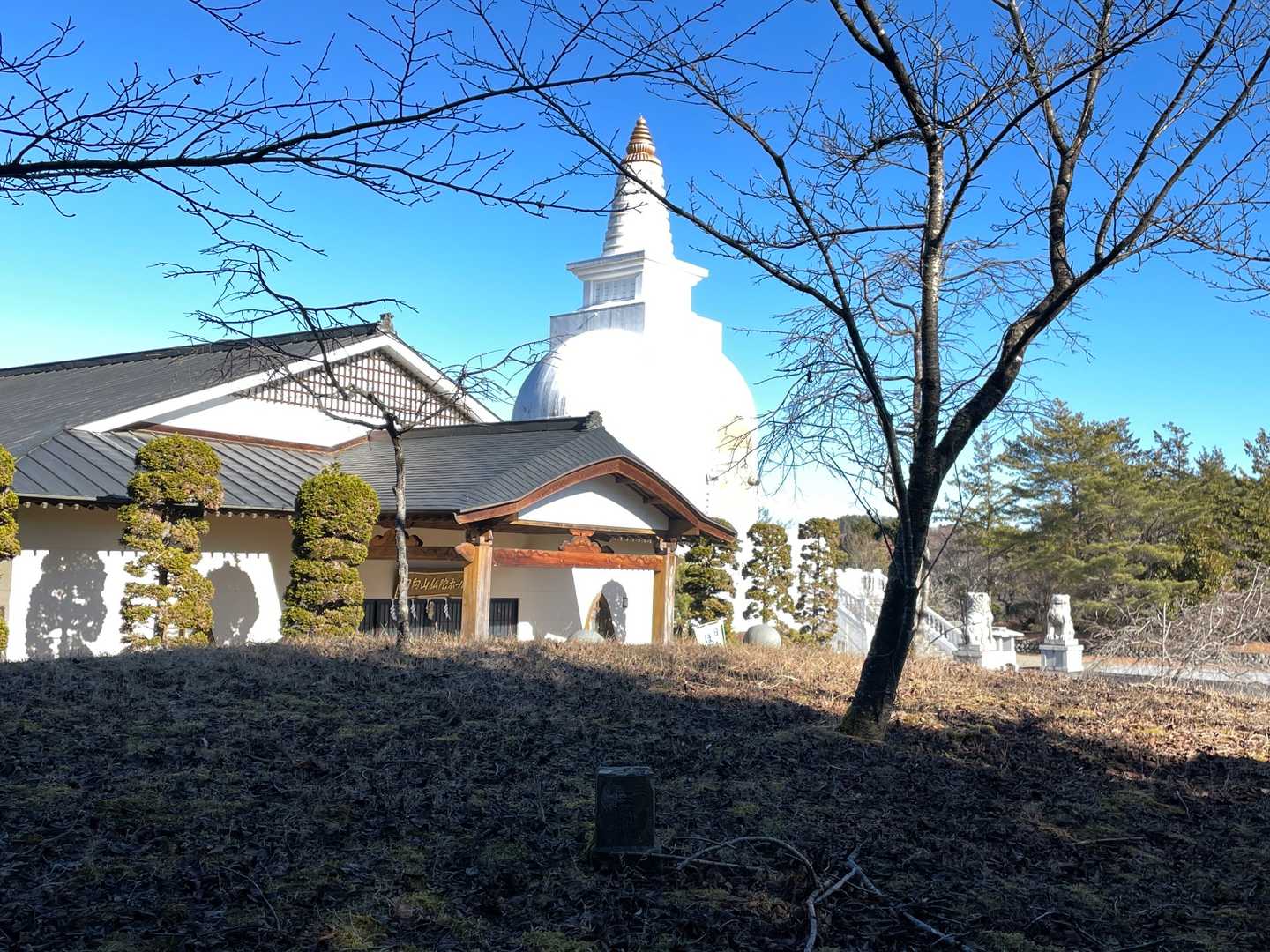日向山の写真