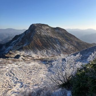 ガトーショコラw