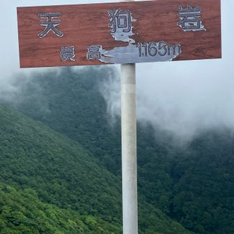 ついた